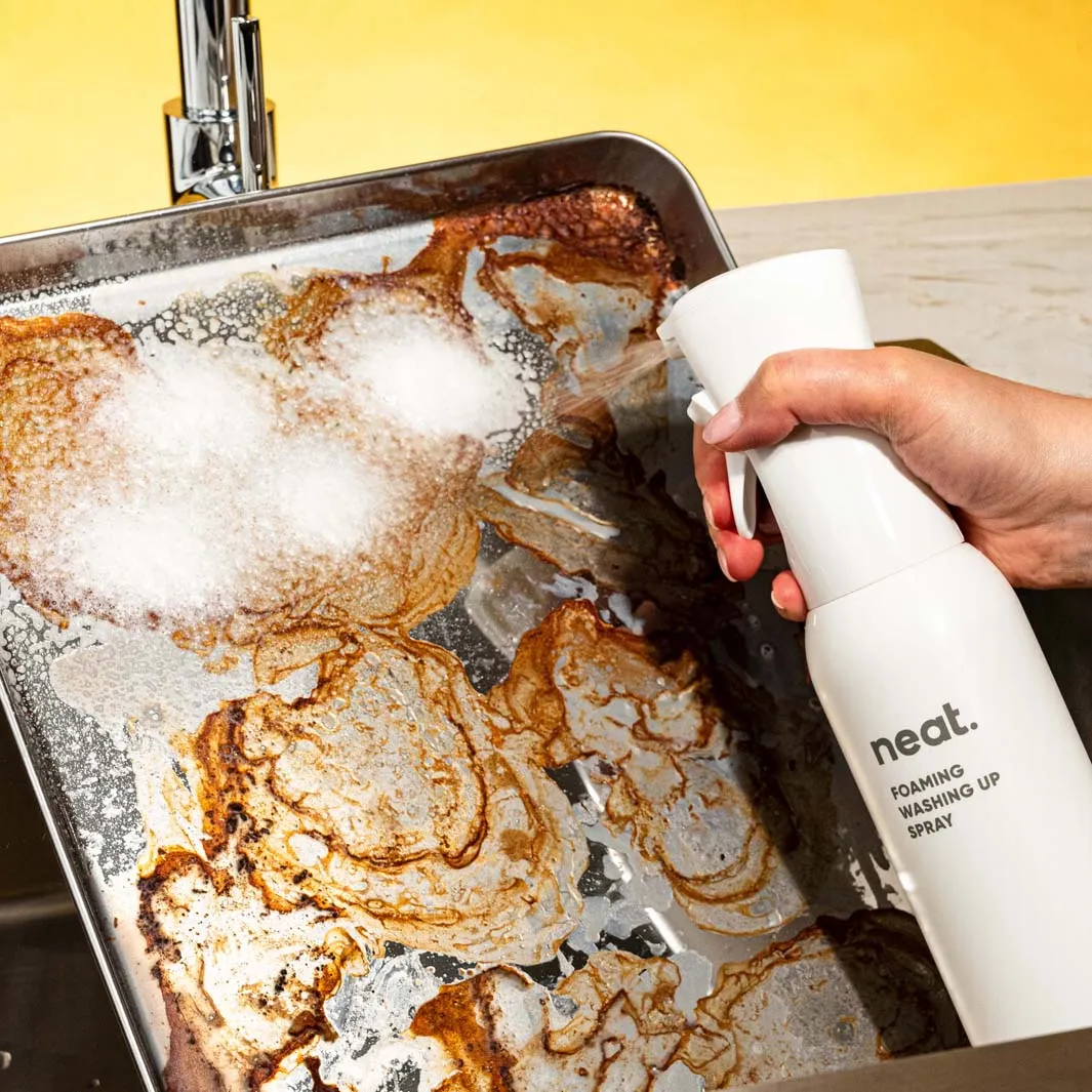 Neat Foaming Washing Up Spray - Recycled Plastic Bottle