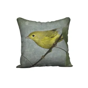 ORANGE CROWNED WARBLER — Bird Cushion Cover — SALE