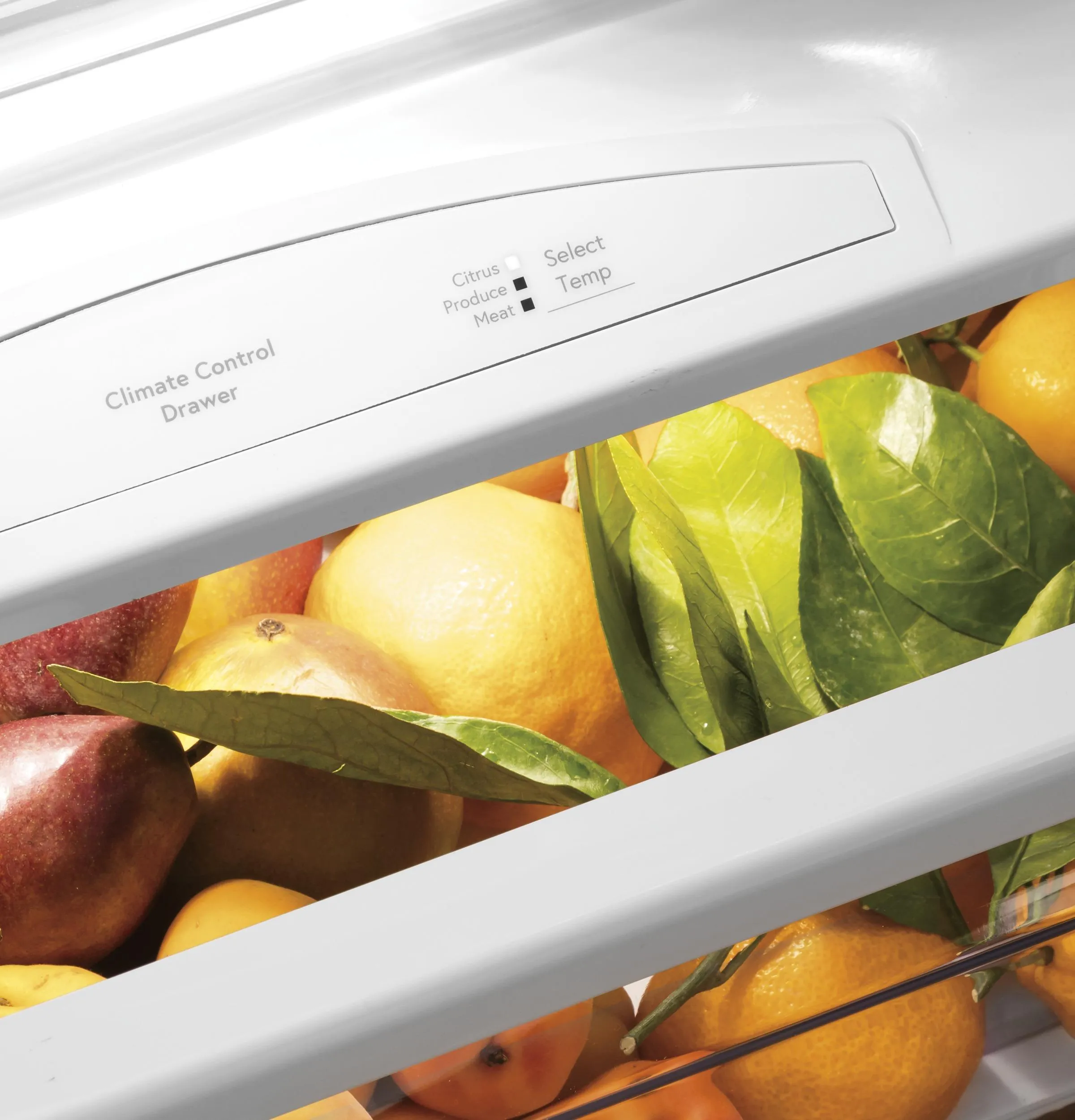 PSB42YSNSS GE Profile™ 42" Smart Built-In Side-by-Side Refrigerator with Dispenser
