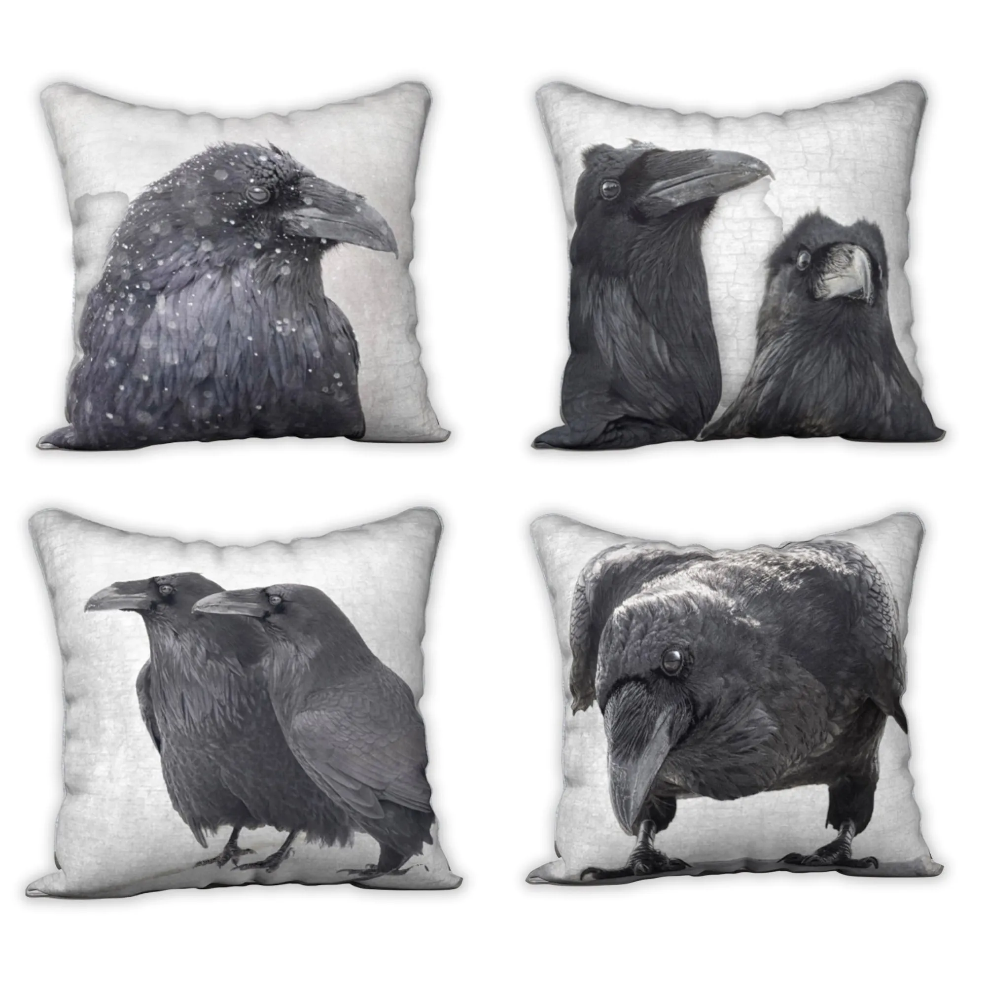 RAVEN COUPLE — Raven Cushion Cover — SALE