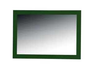 Rubeza 1120x800mm Luxury Framed Mirror - Grass Green